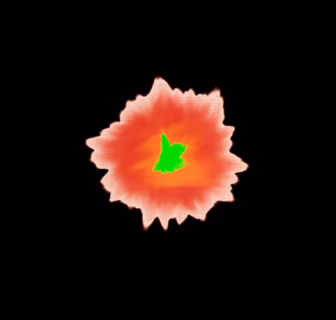 The Digital Works Of A M K