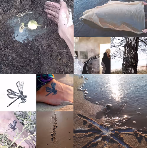 Item #67852815884451041440446270748737731376684132882853332405244606179060939227137 Media