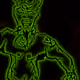 103177977579045781233068972398358192331879708249658817511233582189937552261121