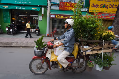 Item #24110165408155573398908987562152031273205884089304227586706331175424521928705 Media