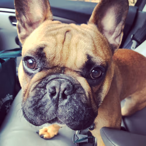 Item #42609404100416917612911281865588665806554825324658305223072319943726891794433 Media