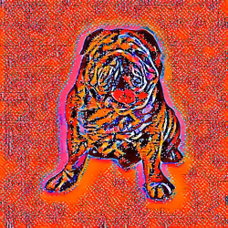 PigDogLucky#1048
