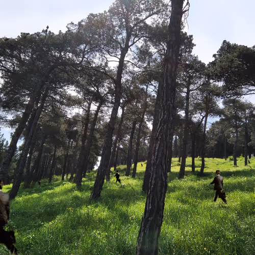 Item #68184226034363132563241512431085175518837350188369992222050409410528922304513 Media