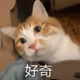 rrr32