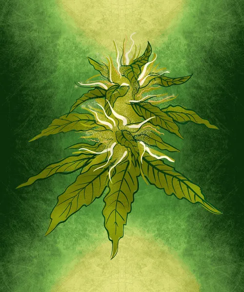 Item #88173920956366532206384104525204378846175092179682069740847406037551399567361 Media