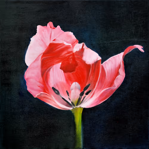 Item #81207412635846640326017366980415821169681077188680122042567003881833339289601 Media