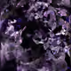 61894283010323417130265782237411141075882593016052188360674173857462363357185