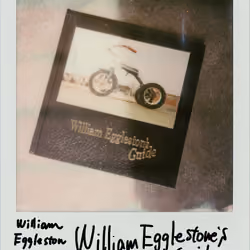 William Eggleston [Wiiliam Eggleston’s Guide]