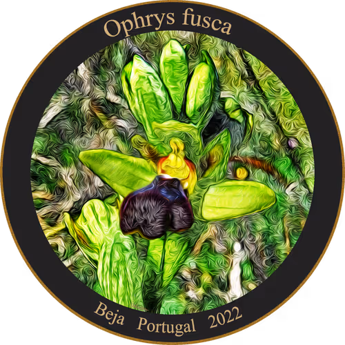 Item #83346383481971607988729477170446348570292642791419063456680174222070134079489 Media