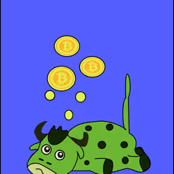 Bitcoin Maxi Bull 