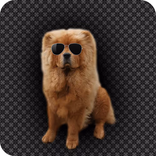 Item #18069411133127541891764540209837632150727605560921678338142275903906604122113 Media