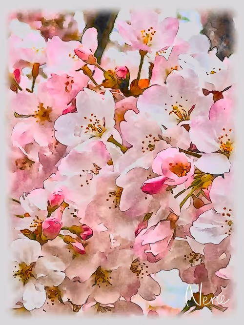 Item #92705045369588921962416214614601804579407099277882560145637197036850128093185 Media