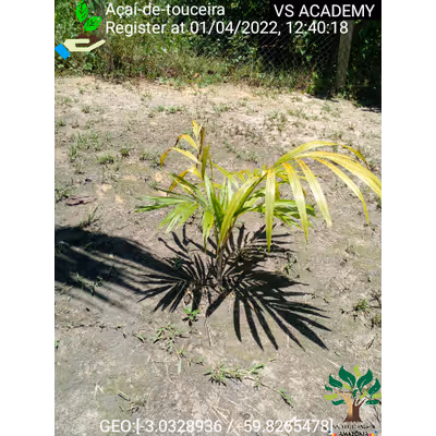 Item #8500196597889277390194123329501889087166328879864934763448348726959290712065 Media