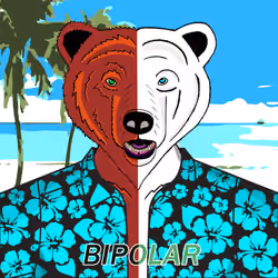 Mr. Miami