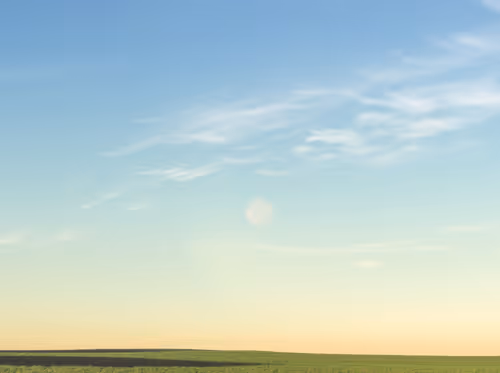 Item #39071023685345521589531013450918722216572370939070752972983331680609690976257 Media