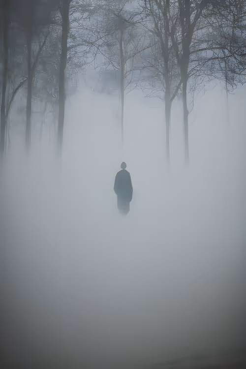 Item #3887115422047443630545464223791812627069003321479925378217031289143019175937 Media