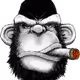 12670661924134294880885090477181929803311625905062362936627219248438042427393