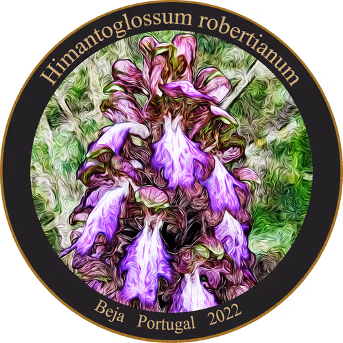 Item #83346383481971607988729477170446348570292642791419063456680174224269157335041 Media