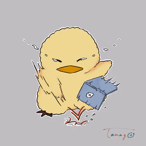 Mori mori MORITA  collection