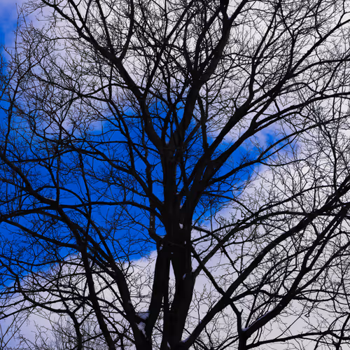 Item #35965218379738729691291467168286792303482134167127854404987491635063901126657 Media