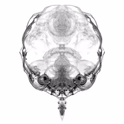 85859191866638808365331437874953228966785819470149775310971063037215994019841