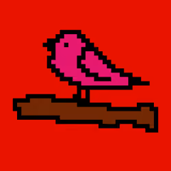 BIRDOS #100