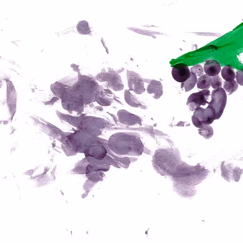 Untitled Collection #72752966