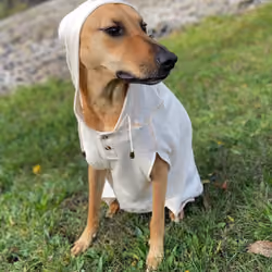 Peaches Sweater Weather