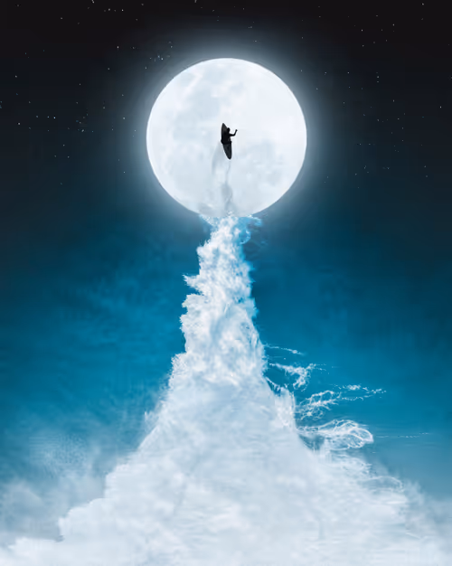 Item #83054766924673444604816267722836446190314772138657067753201581560693960736769 Media