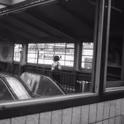 Girl in the Train