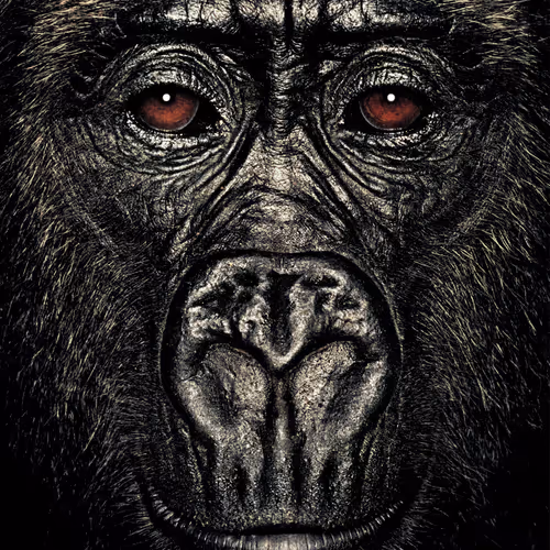 109162157552346088047496633038404394118504199992061596446112929750265710510081