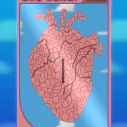 90475678972029395359707263313456981686565599755556252855853744712168836694017