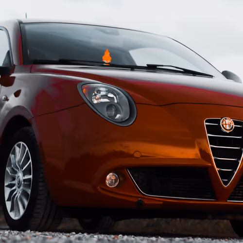 Untitled Collection #192677555