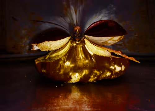 Item #67457553150443021914092587022250176347061355639032054621716075965164212453377 Media