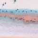 87569449445861050866259609389615247191441306403325182345033620538131883229185