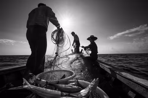 Item #84834639463328091260484975677994672960317612935287513554023817876022354771969 Media