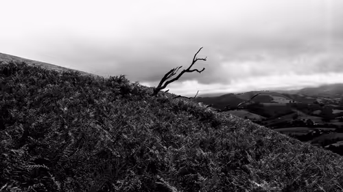 Item #61601413983432262200822046408210296549184035160504594584973518297388640370689 Media