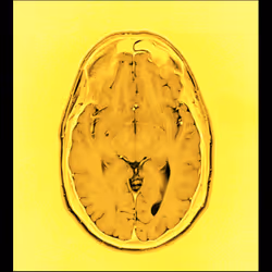 64162533542198579898252916190583583845604629893829087458582976451678971101185