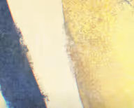 Untitled Collection #15349256