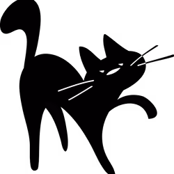 Black cats aren't unlucky