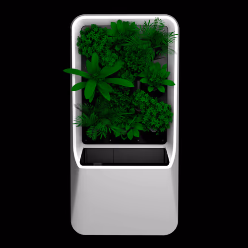 ColeDoran Collection - old V3