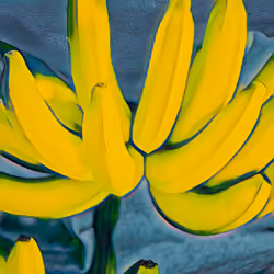 Banana hand m2