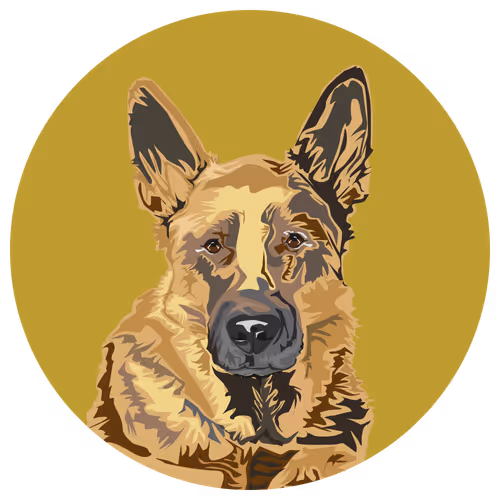 Item #54766349128176429303044182404049584425310907481653304317570413779199727763457 Media