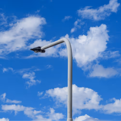 Item #99900617224639477299163599069671603724831420251868583715018934661885580017665 Media