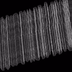 Lines & Spacing: #7
