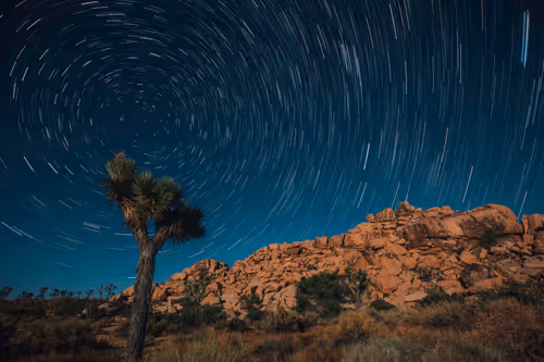 Item #42392629479489844342041238992722917738846266966173652433249185940628903559169 Media