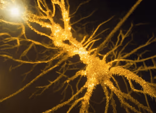 Item #98695163844141812296559601516468632585703412525772017875852753179099019608065 Media