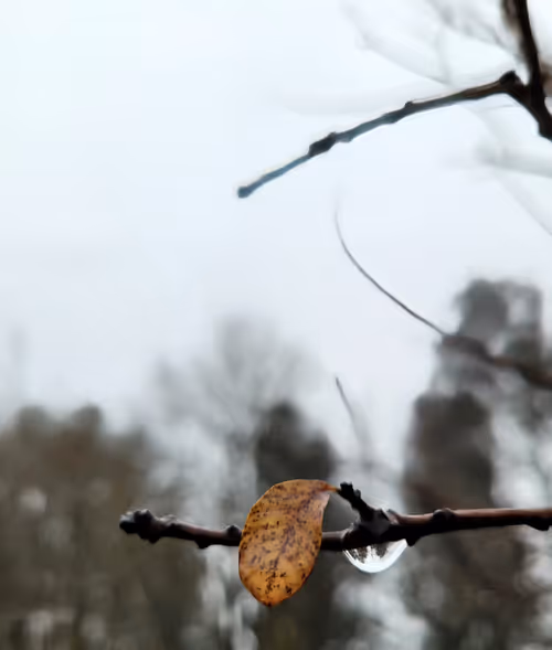 Item #106976905058573581862357565266381237069647104413531900742857790949533079830529 Media