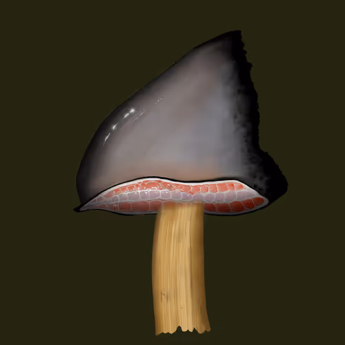 Item #46034849265832991985054005845495595569977159826723230396281256479360213319681 Media