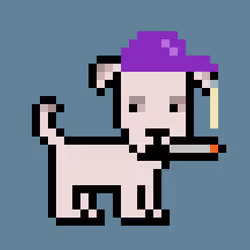 82438041996563505143036997094412011248335074238389028136232905125584351264769